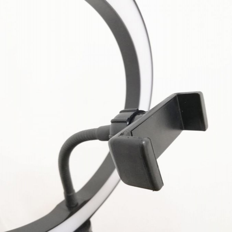 LED Ring Light 26cm  with 7 Feet Metal Stand