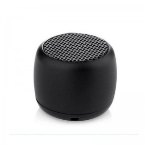 Wireless Mini Speaker