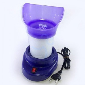 The Steam Facial - Steamer and Inhaler