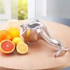 Manual Hand Press Juicer Squeezer Household Fruit Juicer